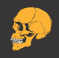 Human Skull N9