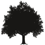 Apple Tree Silhouette N3