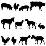 domestic animal silhouette N2