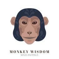 Monkey wisdom