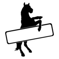 Horse N36