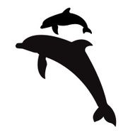 Jumping Dolphins N2