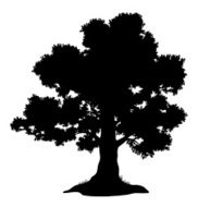 Oak tree and grass silhouette