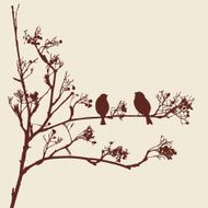 sparrows on a twig