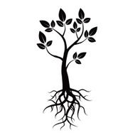 Black tree leafs and roots