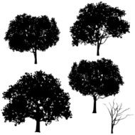 Spring Tree Silhouettes