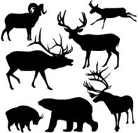 Large Mammal Silhouettes