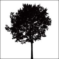 Tree Silhouette 08