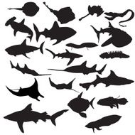 fish silhouettes N2