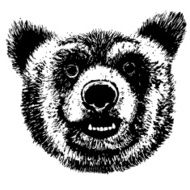 Vector hand drawing bear head grunge