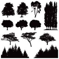 Tree silhouettes N6