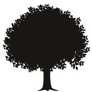 orange tree silhouette
