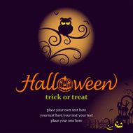 Halloween Night with Owl