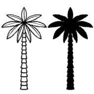 Coconut palm trees