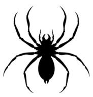 Spider N15