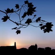 Crisp air of an autumn morning