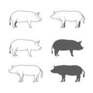 Set of Pig Illustration Isolated on White Background Vector