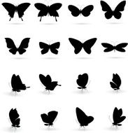 Butterfly Silhouette N7