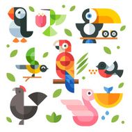 birds and chicks toucan pelican parrot chicken puffin
