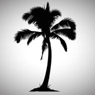 Isolated Palm Tree