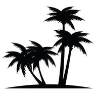 Palms N2