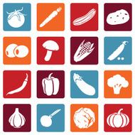 Vector Set of Vegetables Icons N4