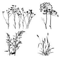 Plants Silhouettes