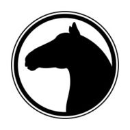 Horse N38