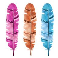 Hand painted watercolor feathers