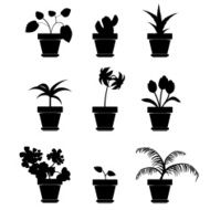 Vector Home Plants Clipart