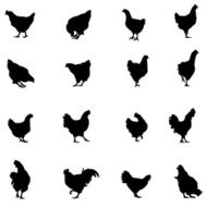 Chicken And Rooster Silhouette N2