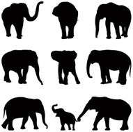 elephants silhouette