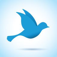 Blue Bird N17