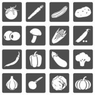 Vector Set of Vegetables Icons N5