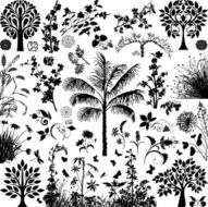 Trees and plants