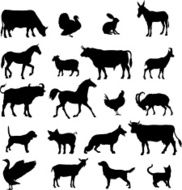 farm animals silhouette N2