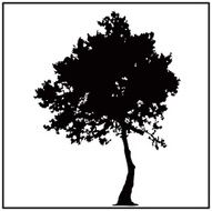Meadow Tree