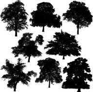 Tree silhouette collection