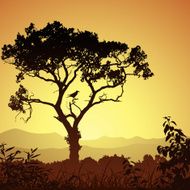 tree silhouette N23