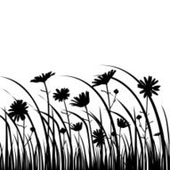 DaisiesInSilhouette