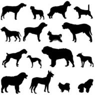 Dog Silhouette N17