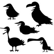 Smiling Birds