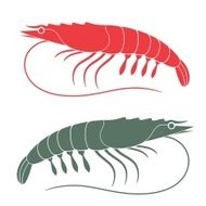 Shrimp N5