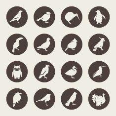 birds icons N3