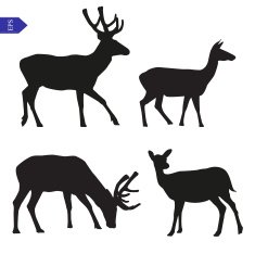 Vector silhouettes of deer