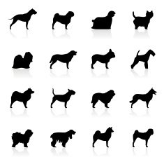 Black Symbols - Dogs