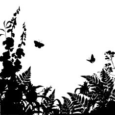 Herbs Flowers Silhouette Background N2