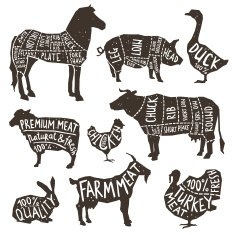 Farm Animals Silhouette Typographics