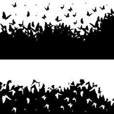 Vector illustration with butterflies N5