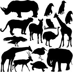 Zoo Animals Silhouette Series